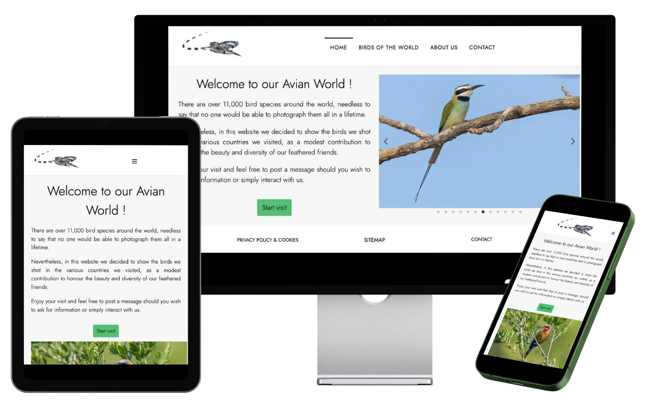 Fond Responsive du site Birdviewfinder.com