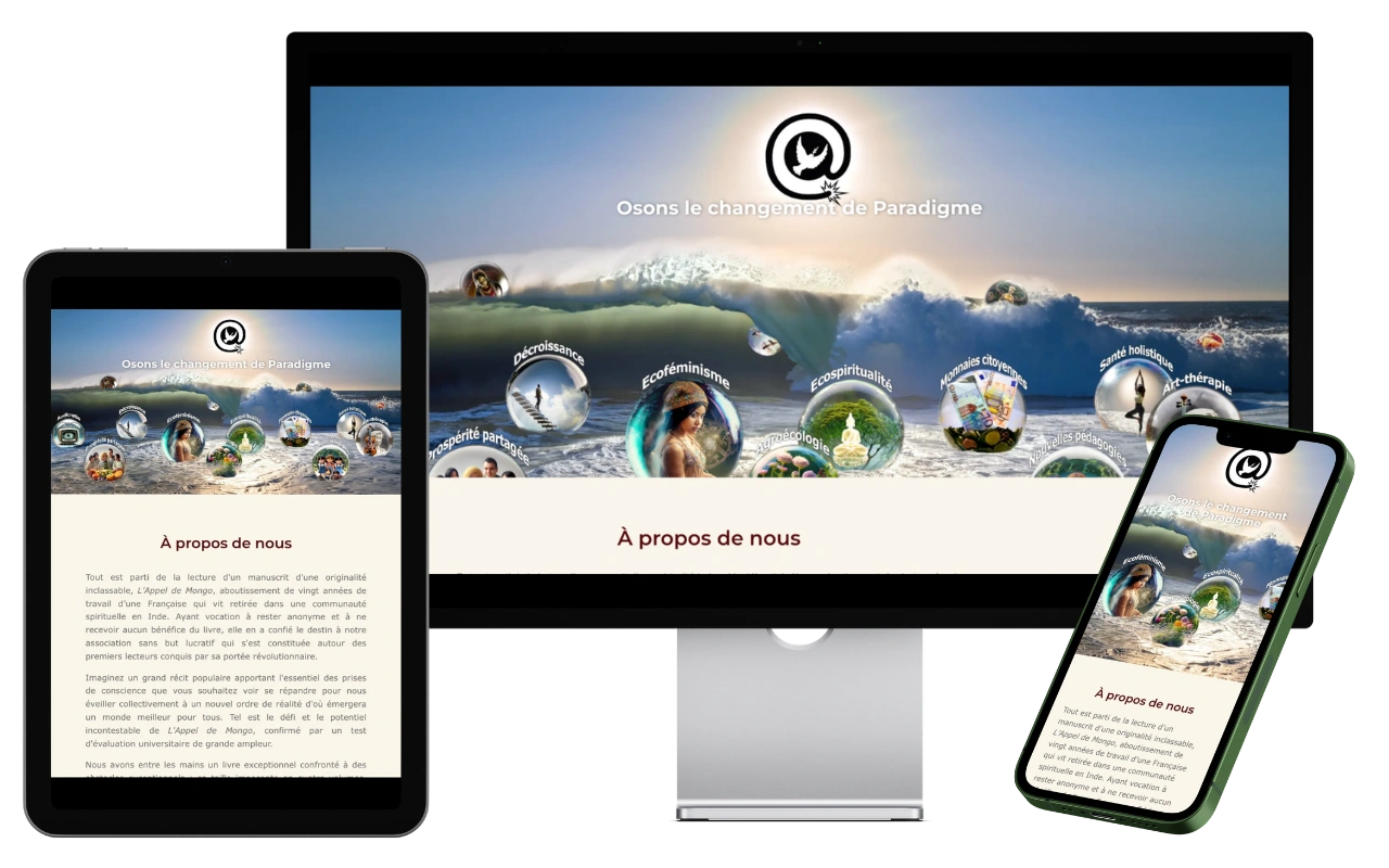 Fond Responsive du site lappeldemongo.org