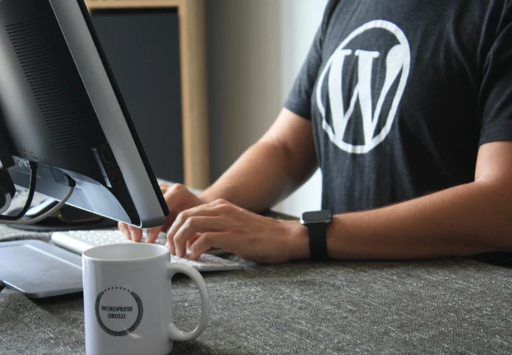 Un Homme travaillant sur WordPress